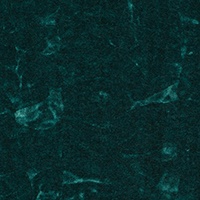 Upholstery (2016-2019) image 5