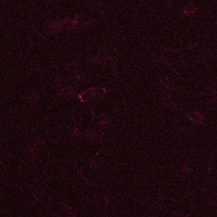 Upholstery (2016-2019) image 10