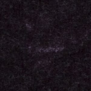 Upholstery (2016-2019) image 15