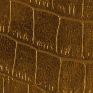 Upholstery (2016-2019) image 2