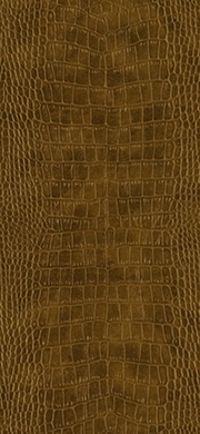 Upholstery (2016-2019) image 3