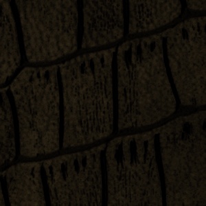 Upholstery (2016-2019) image 6