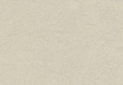 Wallcovering Fine1000 (19-21) image 1