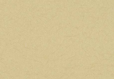 Wallcovering Fine1000 (19-21) image 3