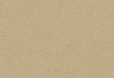 Wallcovering Fine1000 (19-21) image 4