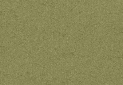 Wallcovering Fine1000 (19-21) image 9