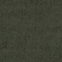 STRING 2021-2024 image 4