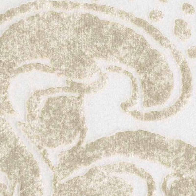 STRING 2021-2024 image 1