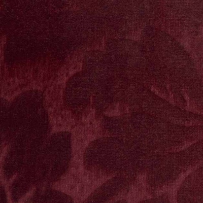 STRING 2021-2024 image 1