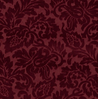 STRING 2021-2024 image 3