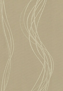 String 2021-2024 image 4