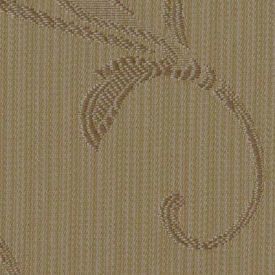 String 2021-2024 image 1