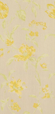 String 2021-2024 image 4