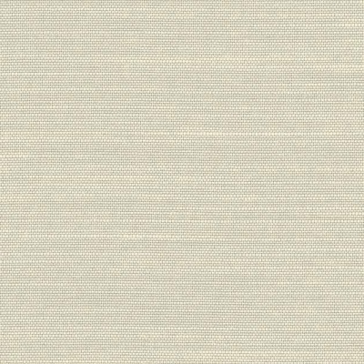 STRING 2021-2024 image 3