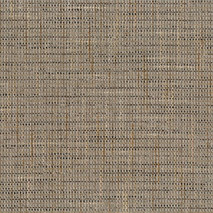 STRING 2021-2024 image 4