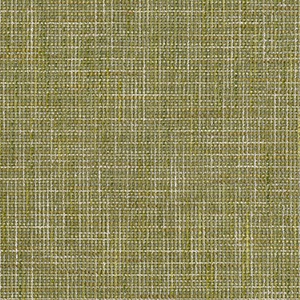 STRING 2021-2024 image 4