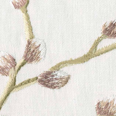 STRING 2021-2024 image 1