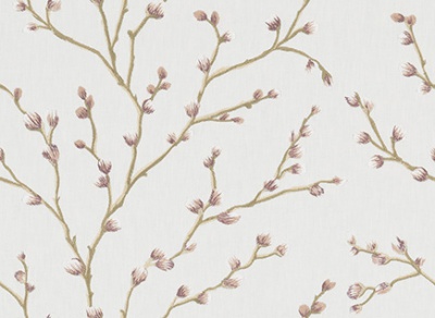 STRING 2021-2024 image 3