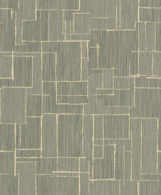 STRING 2021-2024 image 3