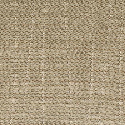 STRING 2021-2024 image 1