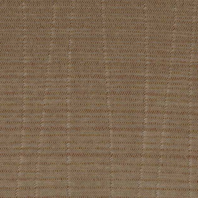 STRING 2021-2024 image 1