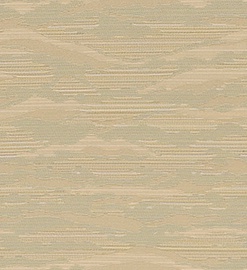 STRING 2021-2024 image 3