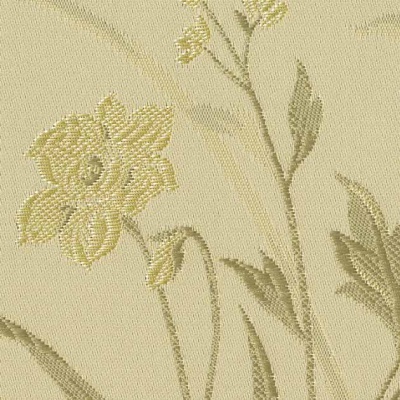 STRING 2021-2024 image 1