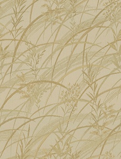 STRING 2021-2024 image 3