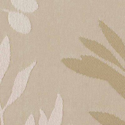 STRING 2021-2024 image 1