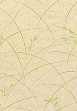 STRING 2021-2024 image 4