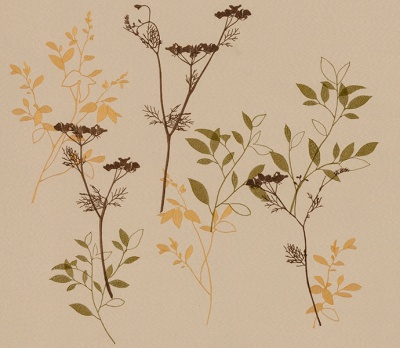 String 2021-2024 image 3