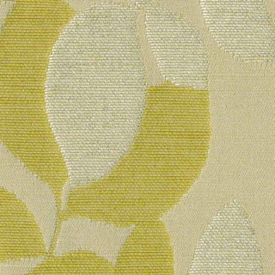 String 2021-2024 image 1