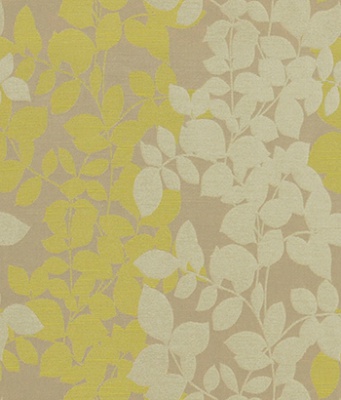 String 2021-2024 image 3