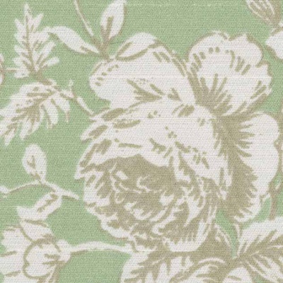 STRING 2021-2024 image 1