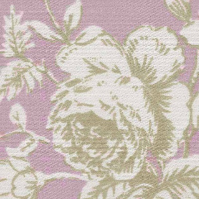 STRING 2021-2024 image 1