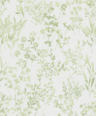 STRING 2021-2024 image 3