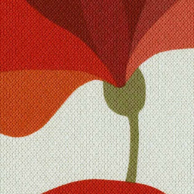 STRING 2021-2024 image 1