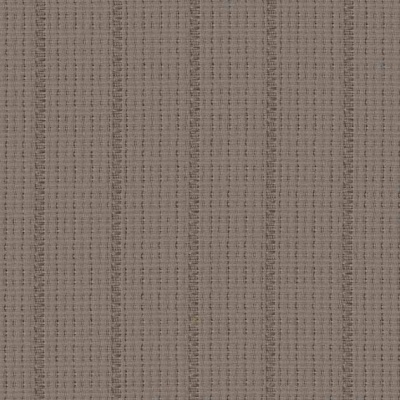 STRING 2021-2024 image 1