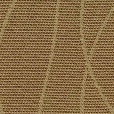 STRING 2021-2024 image 3