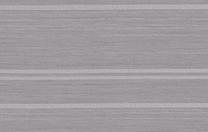 STRING 2021-2024 image 4