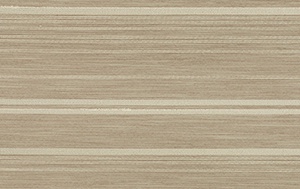 STRING 2021-2024 image 4