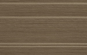 STRING 2021-2024 image 4