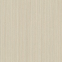 STRING 2021-2024 image 3