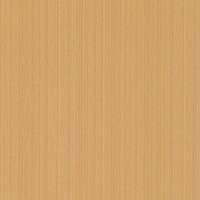 STRING 2021-2024 image 3