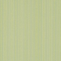 STRING 2021-2024 image 3