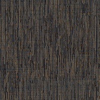 STRING 2021-2024 image 3