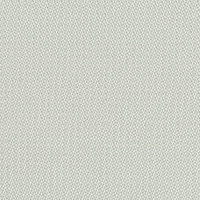 STRING 2021-2024 image 3