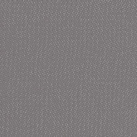 STRING 2021-2024 image 3