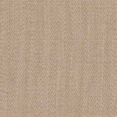 STRING 2021-2024 image 1