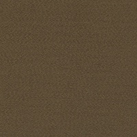 STRING 2021-2024 image 3